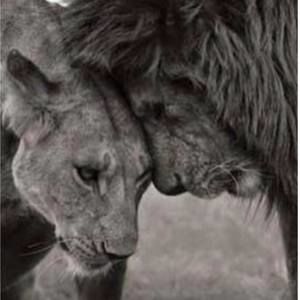 Meet your Posher, Kara